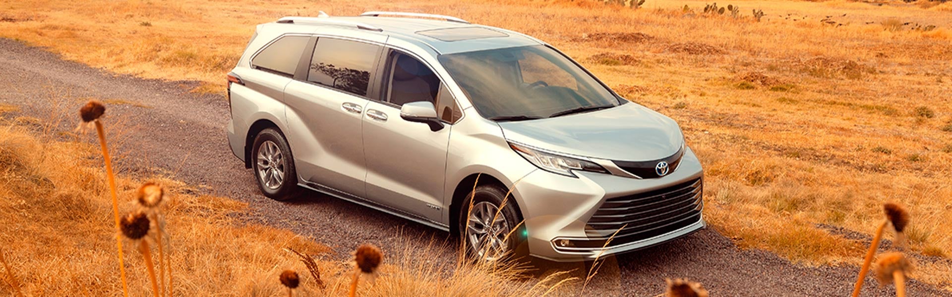 Toyota del Bajío in León Guanajuato